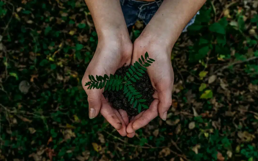 Faith-Based Investing and Sustainability